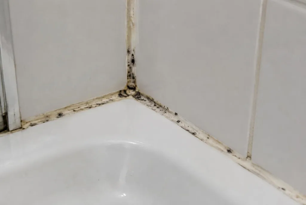 Kitbedrijf Rhenen – beschimmelde kitranden